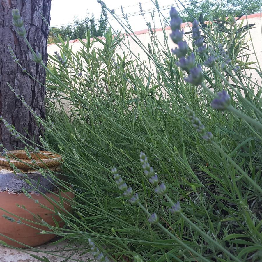 Bed and Breakfast Philoxenia Pourrieres Zewnętrze zdjęcie